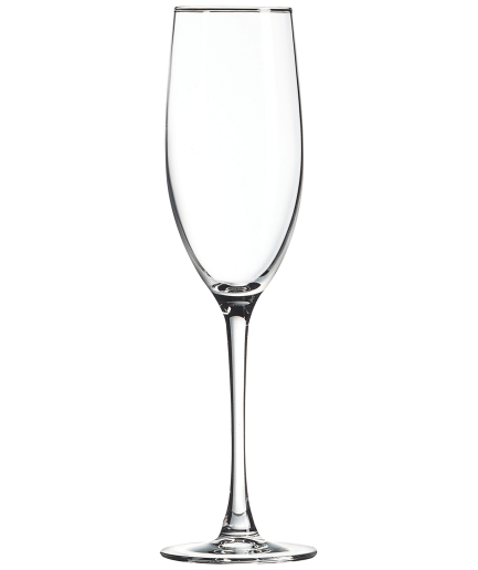 Polar Camel Champagne Flute
